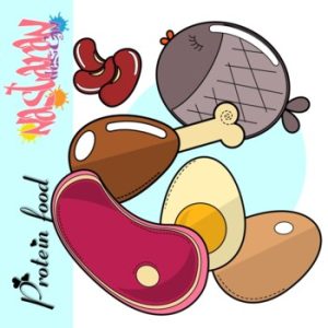 Protein Food Clipart